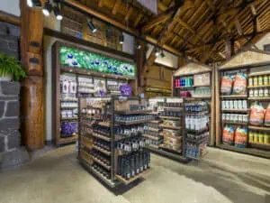 accessory floor fixture in nature themed store